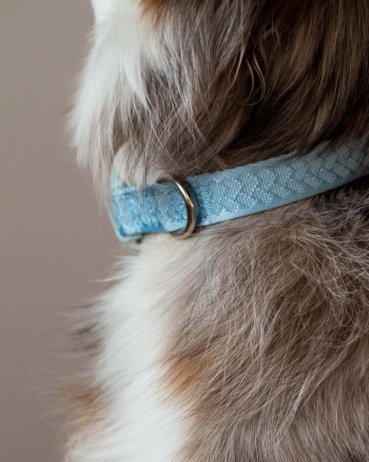 Cloud Collar | Peachy Dogs