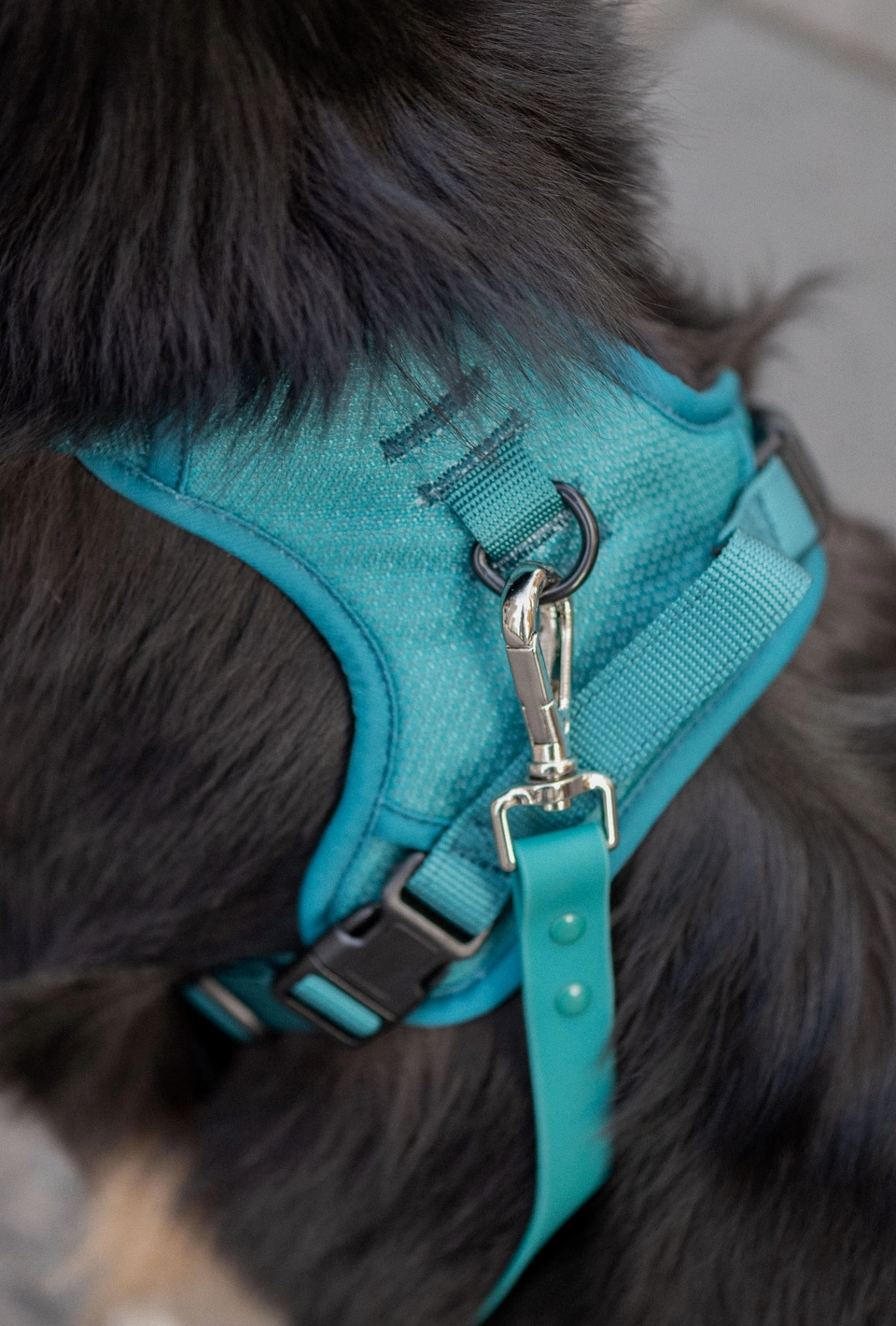 Mojito Harness| Peachy Dogs