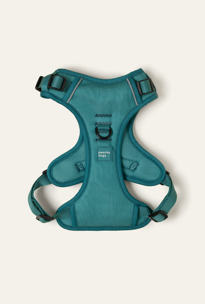 Mojito Harness| Peachy Dogs