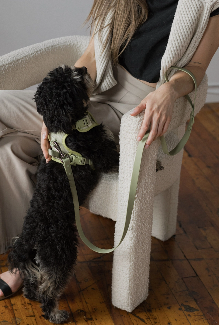 Matcha Harness| Peachy Dogs