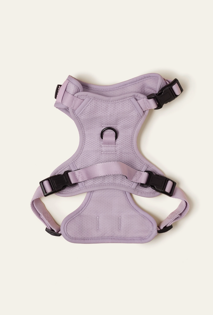 Lilac Harness| Peachy Dogs