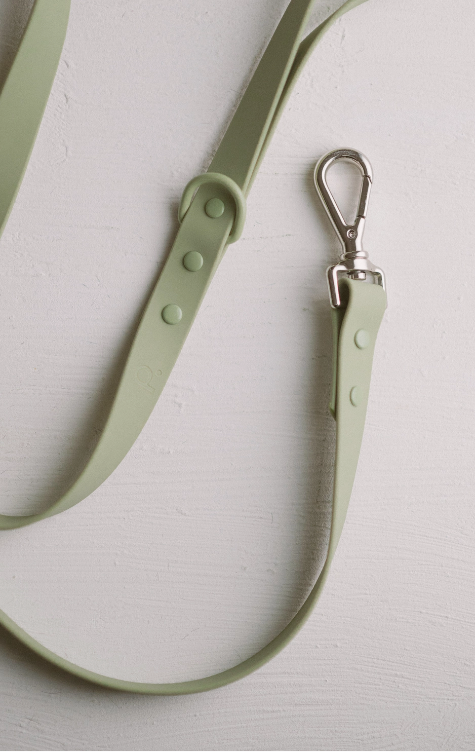 Green Leash | Peachy Dogs