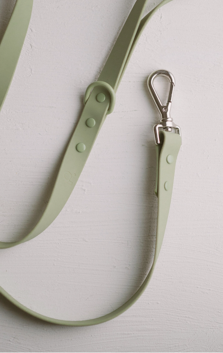 Green Leash | Peachy Dogs