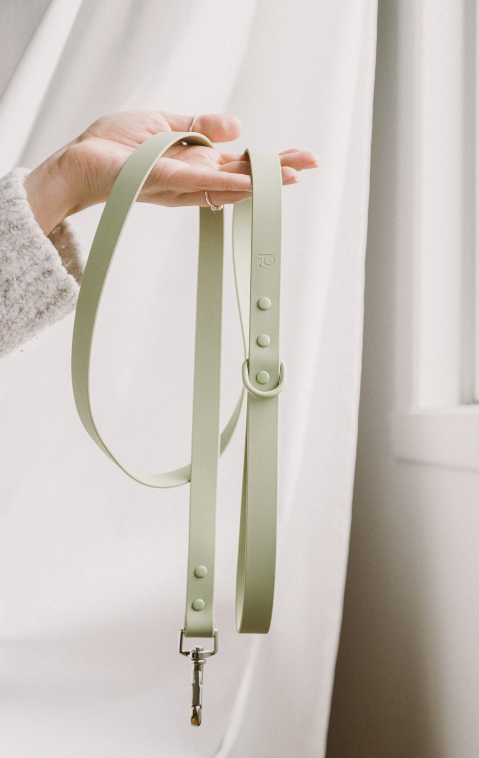 Green Leash | Peachy Dogs