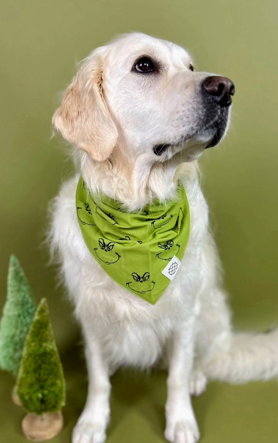 Grinch Bandana  | The Paws