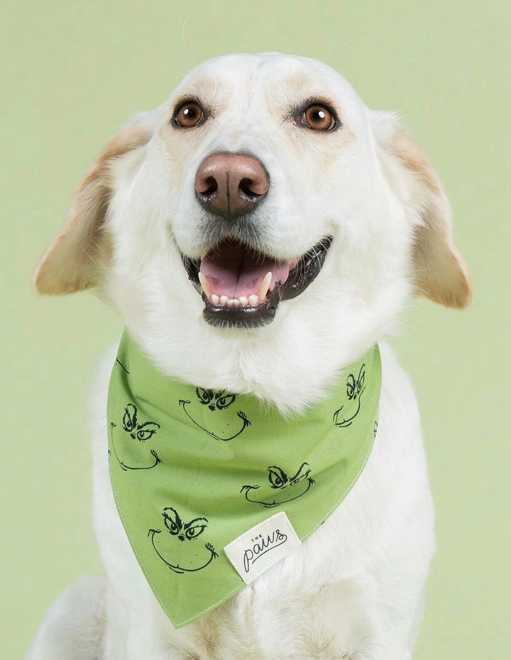 Grinch Bandana  | The Paws