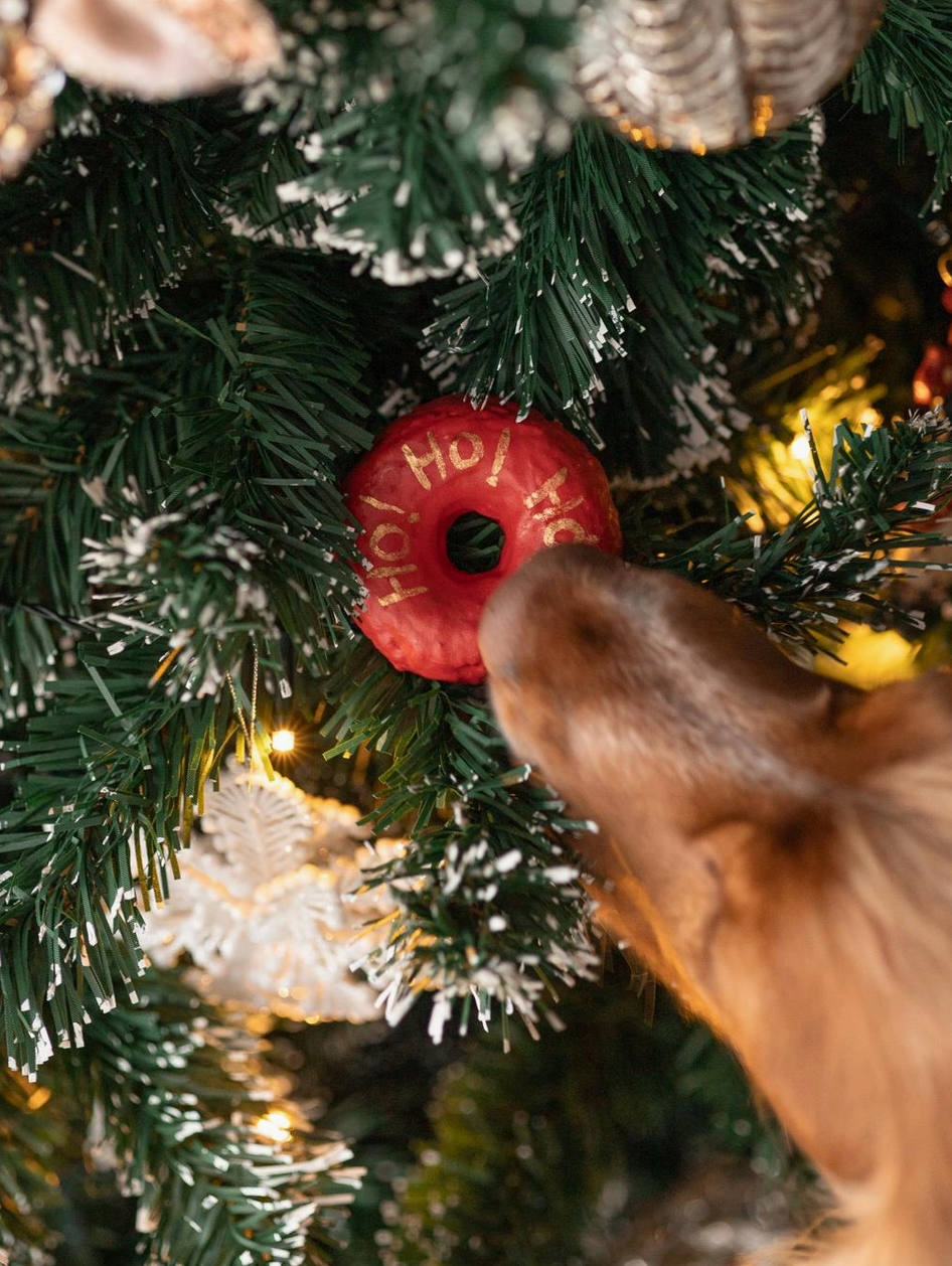 Woofmas Donut | Cooka's Cookies