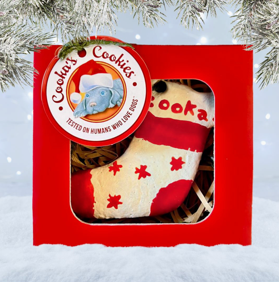 Santa's Boot Cookie | Cooka's Cookies