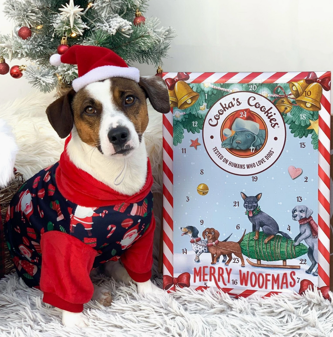 Christmas Calendar for good doggies | Cooka's Cookies