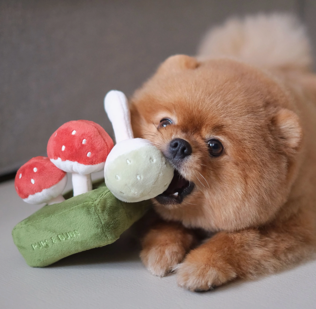 Forest Mushroom Snuffle toy  | Pups & Bubs