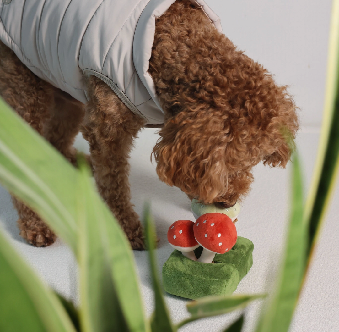 Forest Mushroom Snuffle toy  | Pups & Bubs