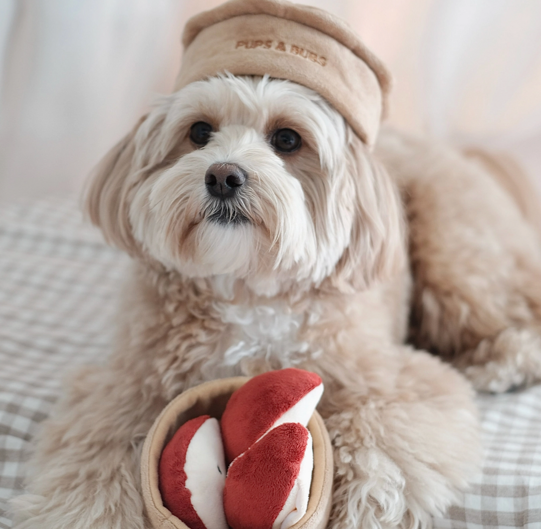 Apple Pie Snuffle toy  | Pups & Bubs