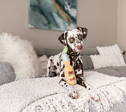 Canine Cerveza | P.L.A.Y. - Babelle