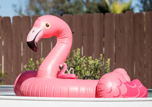 Flamingo Float | P.L.A.Y.