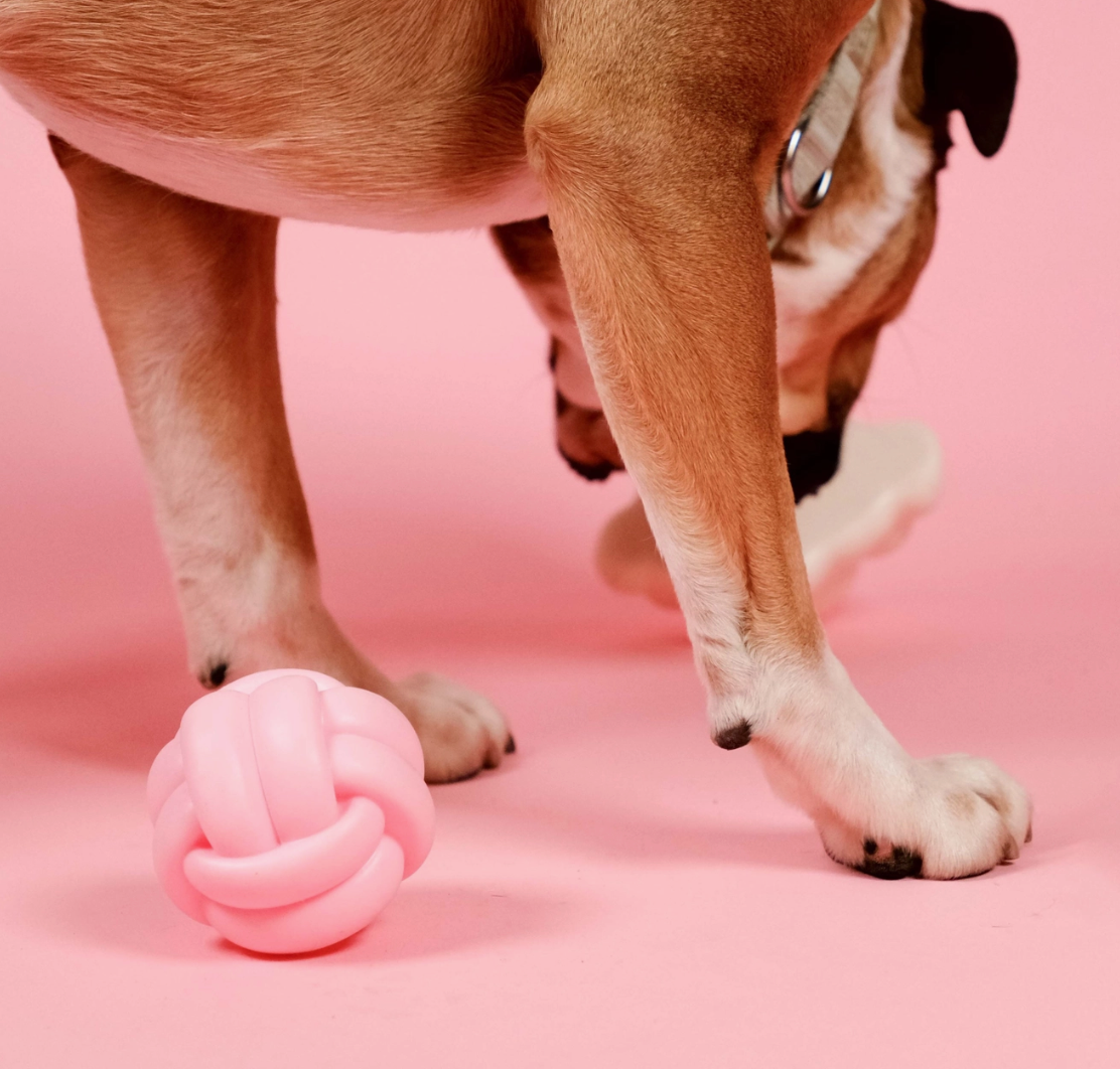 Knotball Squeaky Toy | Barc London - Babelle