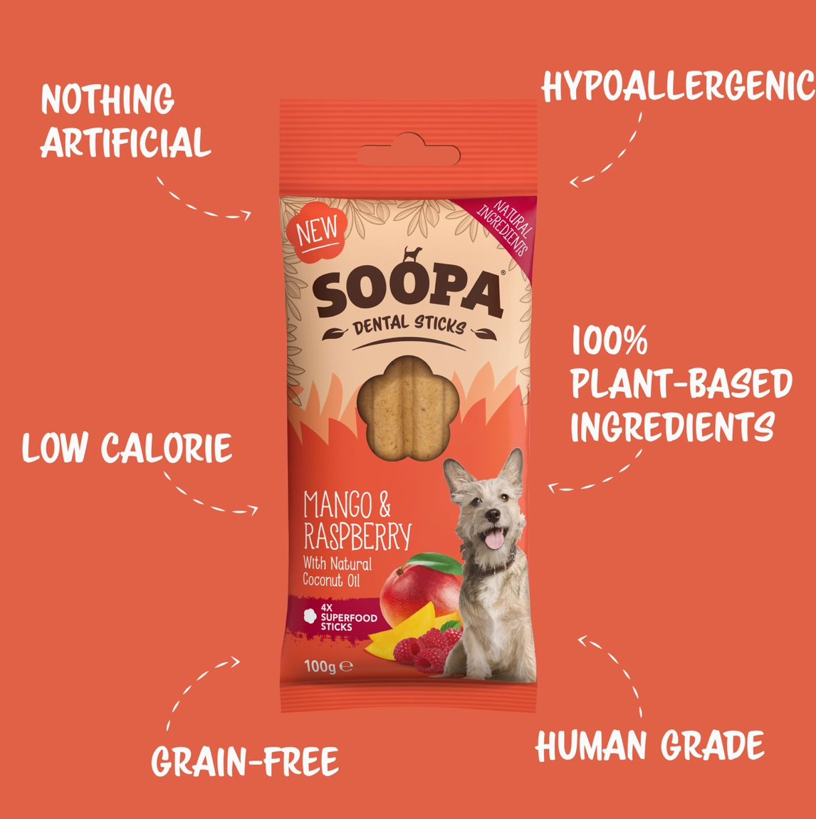 Dental Sticks  - Mango & Raspberry | Soopa - Babelle