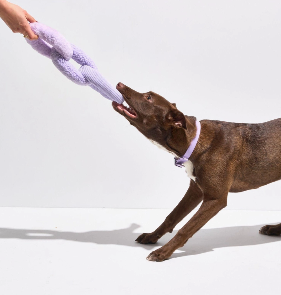 Plush Toy Chew Chain - Lilac | Wild One
