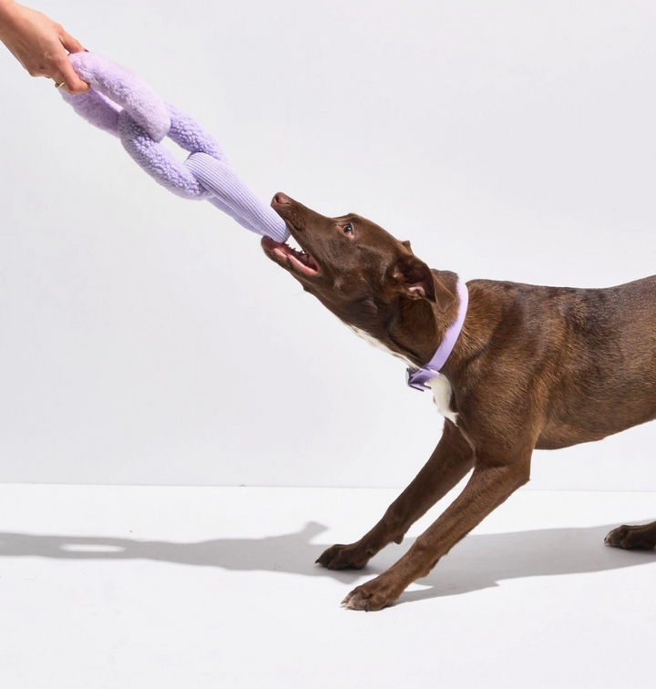Plush Toy Chew Chain - Lilac | Wild One