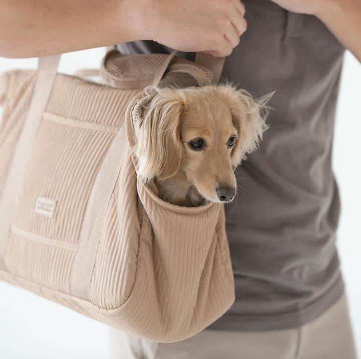 City Pet Carrier | Lambwolf