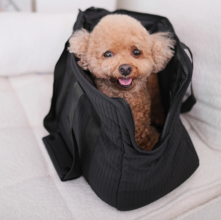 City Pet Carrier | Lambwolf