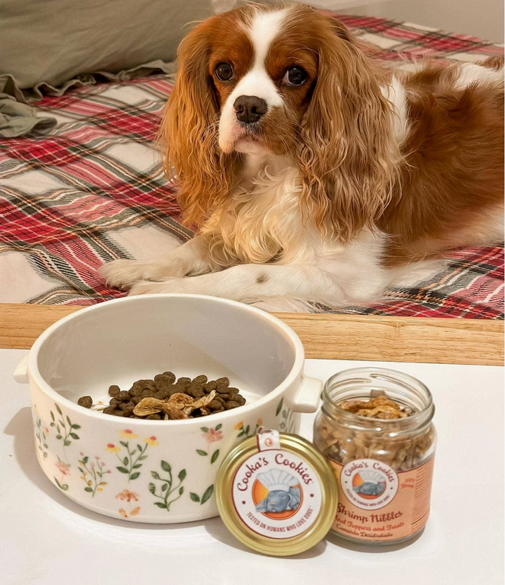 Shrimp Nibbles | Cooka's Cookies - Babelle