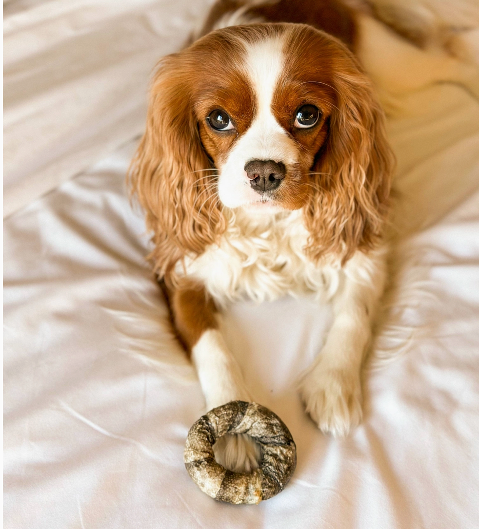 Cod Fish Treats | Cooka's Cookies - Babelle