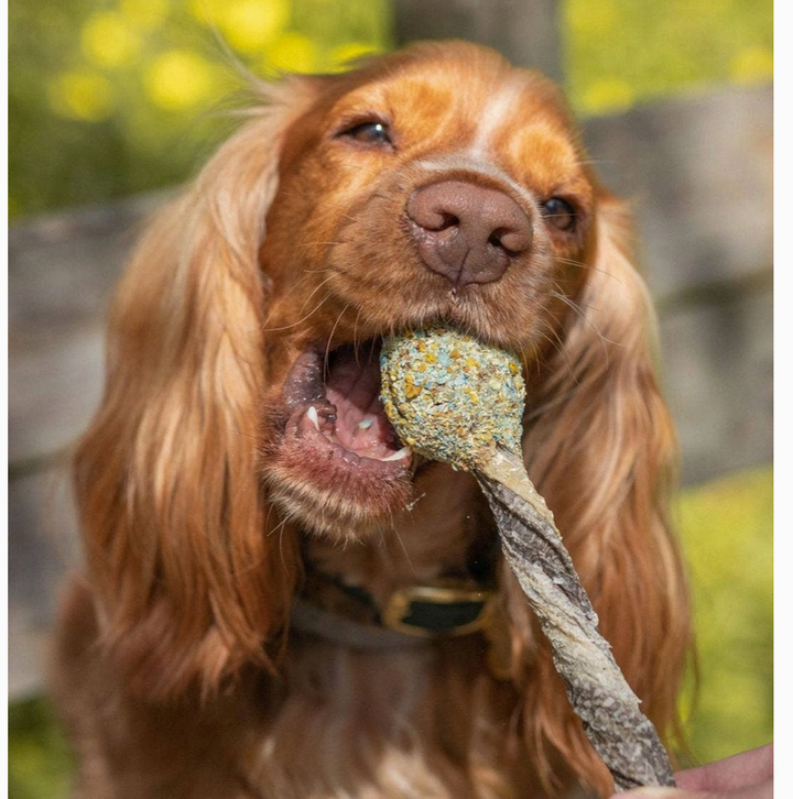 Lollipop  | Cooka's Cookies - Babelle