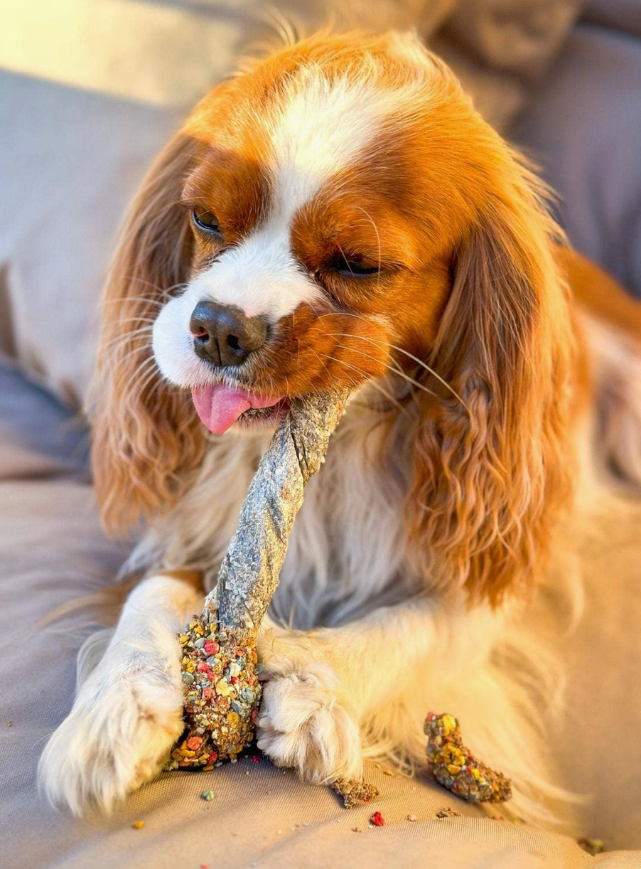 Lollipop  | Cooka's Cookies - Babelle