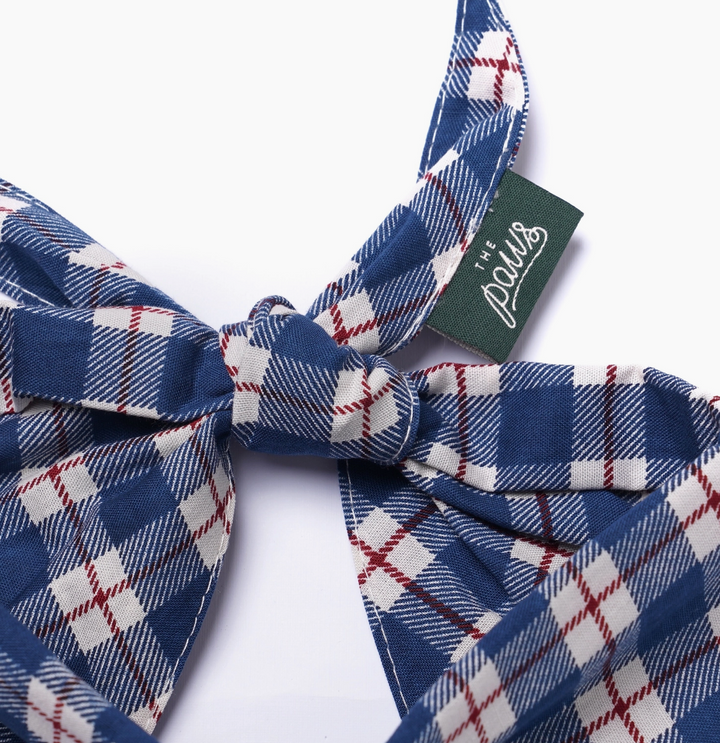 Apres Winter Dog | The Paws - Babelle