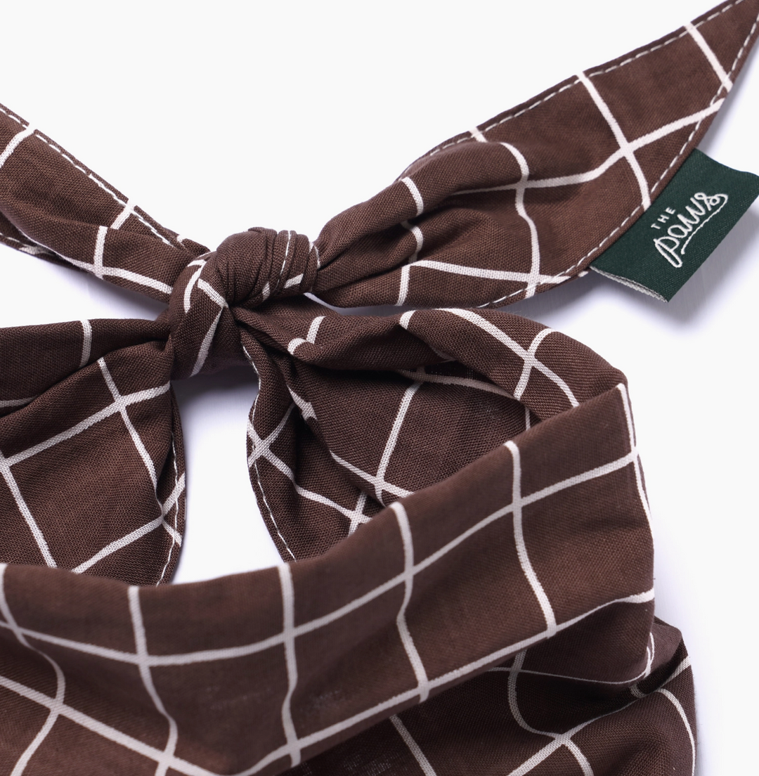 Stratford Dog | The Paws - Babelle