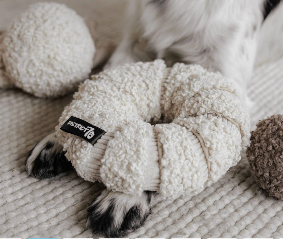 Daisy - Merengue | District 70 - Babelle