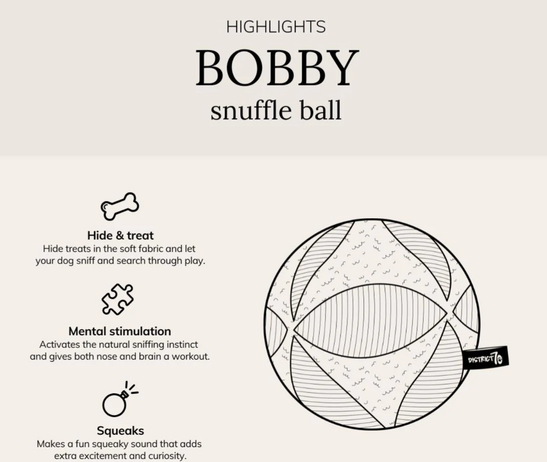 Bobby - merengue | District 70 - Babelle