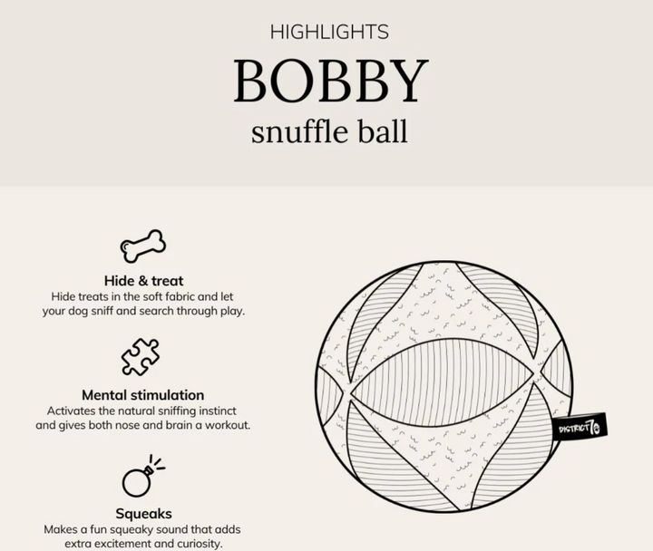 Bobby - merengue | District 70 - Babelle