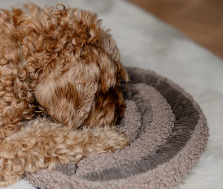 Swirl - Taupe | District 70 - Babelle