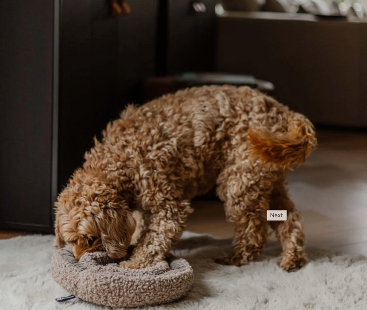 Swirl - Taupe | District 70 - Babelle