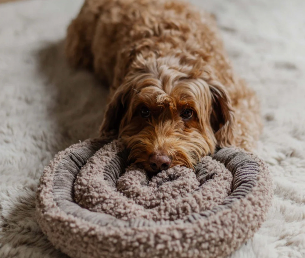 Swirl - Taupe | District 70 - Babelle