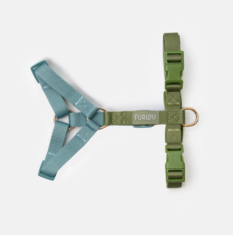 Lake Day Harness| Furlou - Babelle