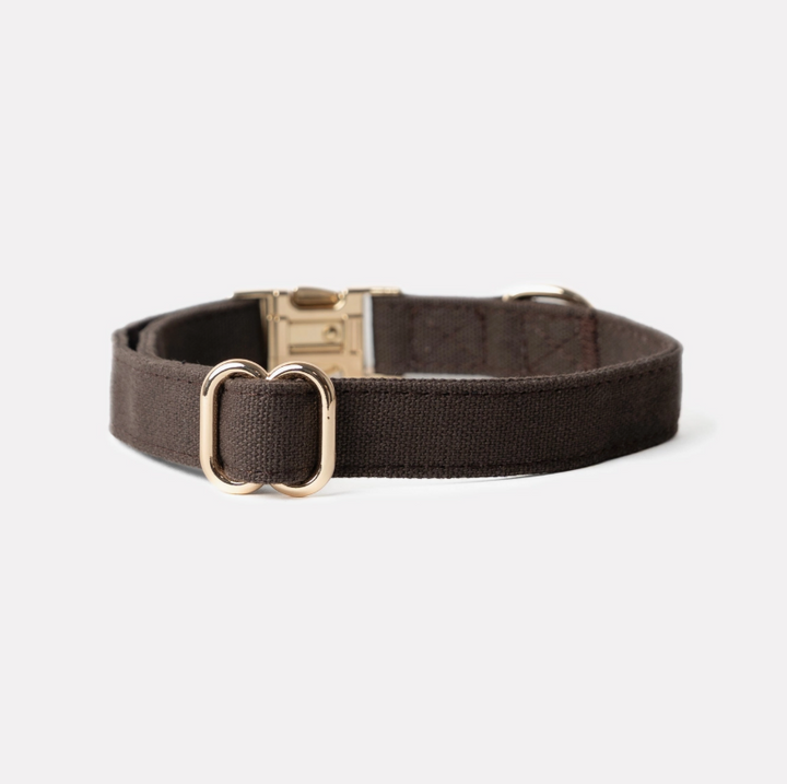 Brown Collar | Furlou - Babelle