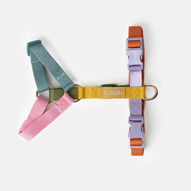 Rainbow Harness| Furlou - Babelle