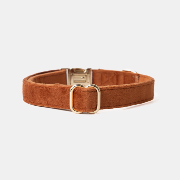 Clay Velvet Collar | Furlou - Babelle