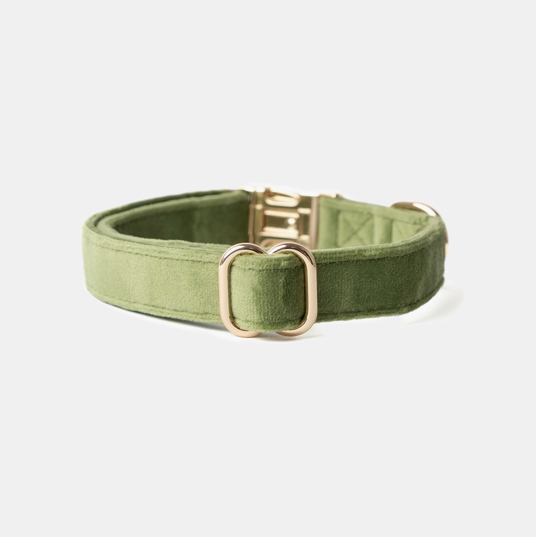 Green Velvet collar | Furlou - Babelle