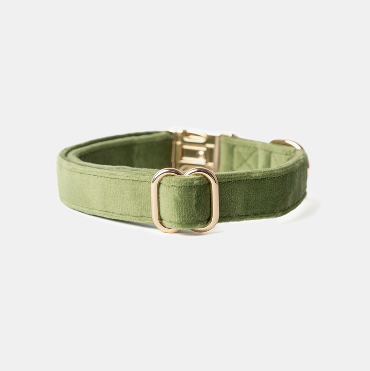Green Velvet collar | Furlou - Babelle
