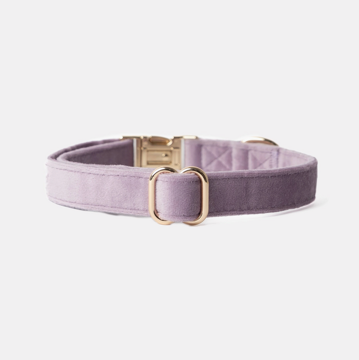 Lilac Velvet collar | Furlou - Babelle