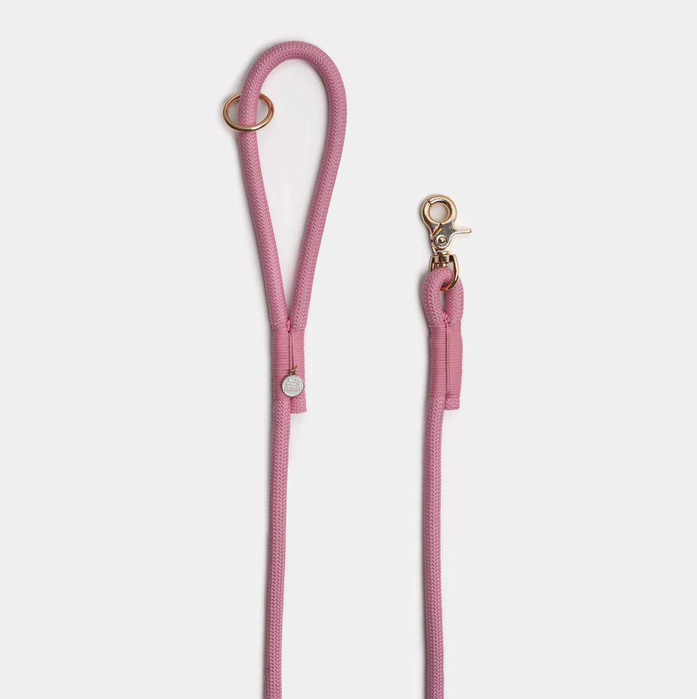 Pink Leash | Furlou - Babelle
