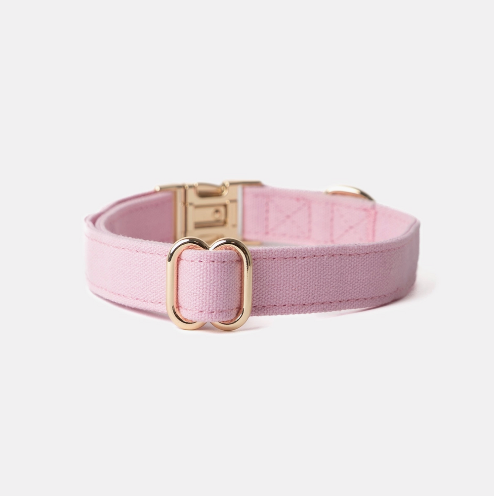 Pink collar | Furlou - Babelle