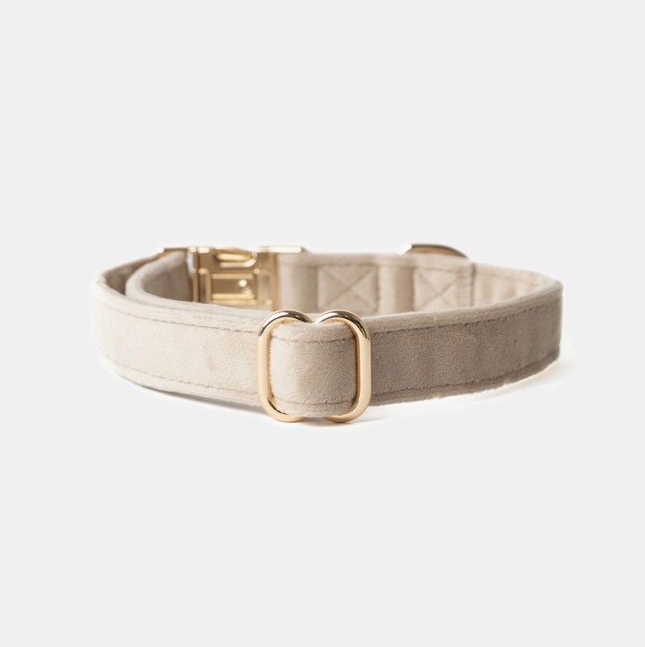 Sand Velvet collar | Furlou - Babelle