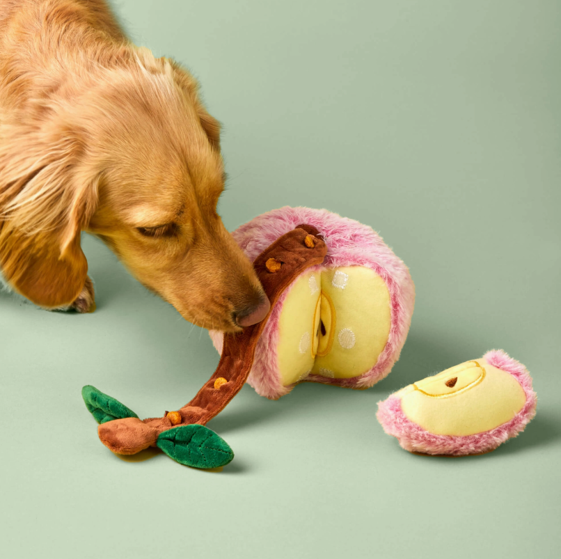 Apple Snuffle Toy | The Foggy Dog - Babelle