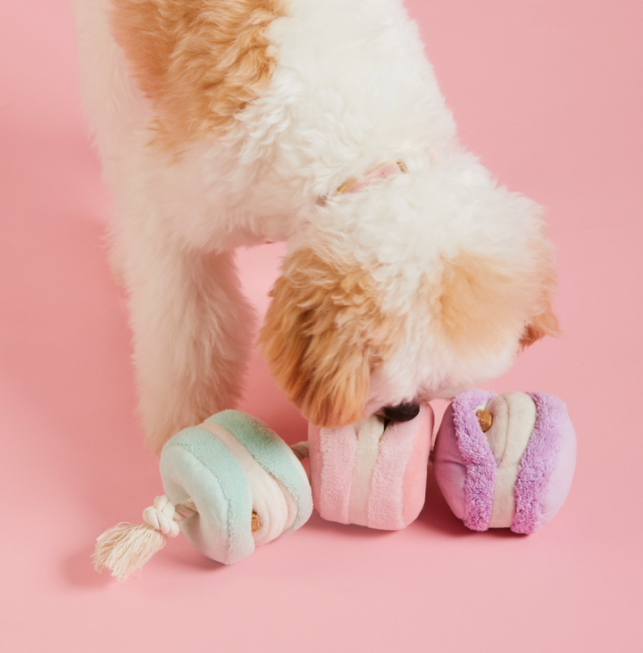 Macaron Snuffle Toy | The Foggy Dog - Babelle