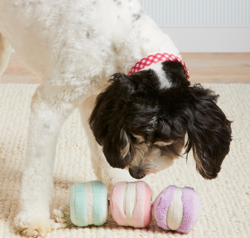 Macaron Snuffle Toy | The Foggy Dog - Babelle