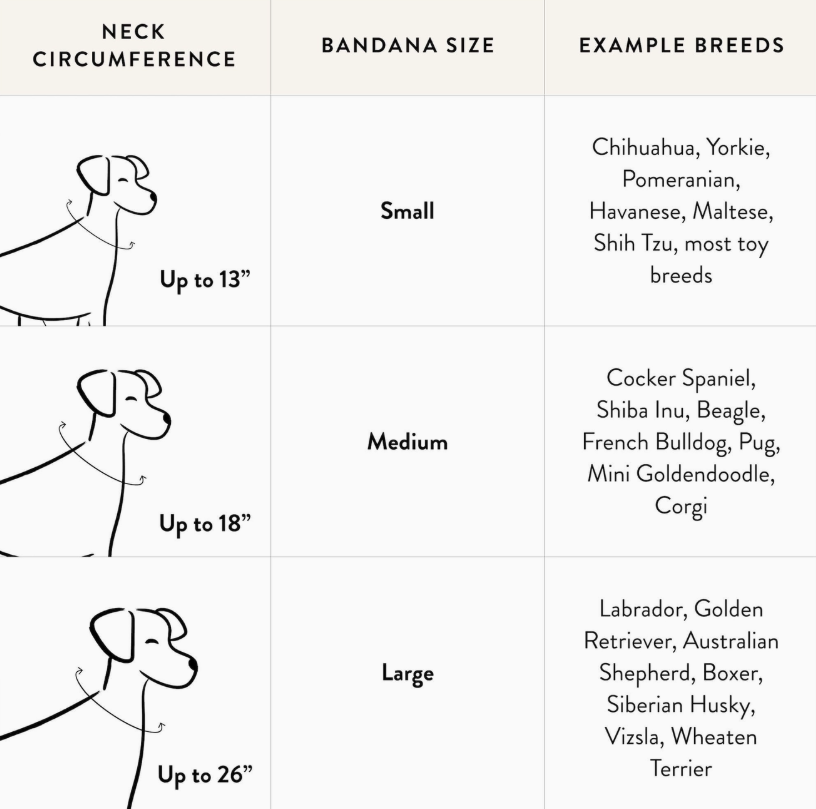 Margaux | The Foggy Dog - Babelle